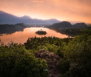 Jezioro Bled, Kościół, Słowenia, Blejski Otok, Las, Wyspa, Góry, Wschód słońca