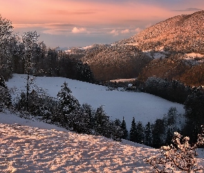 Tiefmatt, Dom, Góry, Szwajcaria, Śnieg, Zima, Drzewa