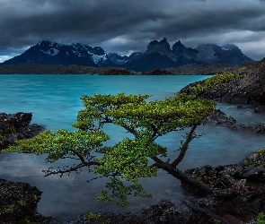 Park Narodowy Torres del Paine, Drzewa, Góry, Lake Pehoe, Cordillera Paine, Chile, Andy, Patagonia, Kamienie, Chmury, Jezioro