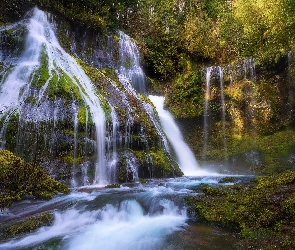 Panther Creek Falls, Wodospad, Stan Waszyngton, Gifford Pinchot National Forest, Drzewa, Stany Zjednoczone, Las