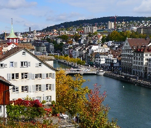 Drzewa, Most, Zurych, Szwajcaria, Budynek, Rzeka Limmat