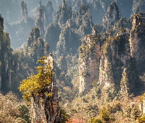Prowincja Hunan, Góry, Skały, Zhangjiajie National Forest Park, Chiny