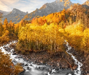 Góry, Kamienie, Jesień, Drzewa, Grindelwald, Żółte, Szwajcaria, Rzeka