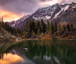 Szwajcaria, Chmury, Jezioro Schwarzsee, Góry, Drzewa, Wschód słońca