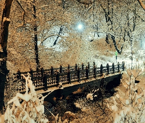 Śnieg, Zima, Most, Drzewa, Park, Most