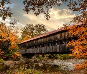 Drzewa, Albany Covered Bridge, Stan New Hampshire, Stany Zjednoczone, Rzeka, Most kryty