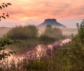 Mgła, Roślinność, Park Narodowy Saskiej Szwajcarii, Krzewy, Rzeka, Niemcy, Góra