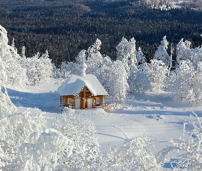 Drzewa, Zima, Dom, Śnieg