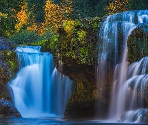 Stany Zjednoczone, Stan Waszyngton, Lower Lewis River Falls, Wodospad, Drzewa, Cougar