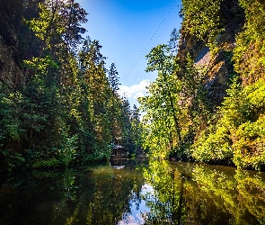 Wąwóz, Dom, Drzewa, Skały, Rzeka