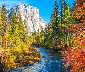 Drzewa, Rzeka Merced, Kalifornia, Góry, Jesień, Stany Zjednoczone, Park Narodowy Yosemite