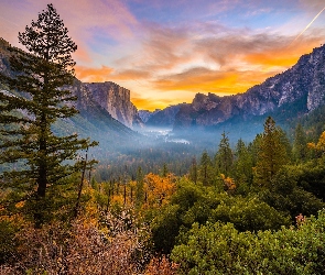 Park Narodowy Yosemite, Kalifornia, Mgła, Stany Zjednoczone, Góry, Krzewy, Jesień, Skały, Drzewa