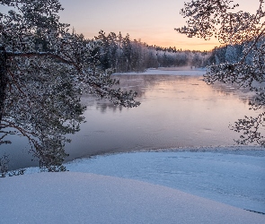 Rzeka Kymijoki, Finlandia, Drzewa, Las, Zima