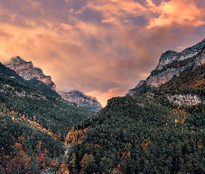 Hiszpania, Park Narodowy Ordesa y Monte Perdido, Pireneje, Góry, Wąwóz, Drzewa