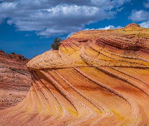 Skały, Stany Zjednoczone, Arizona, Marble Canyon, Kanion