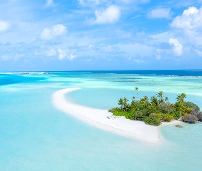 Morze, Z lotu ptaka, Palmy, Wyspa, Malediwy