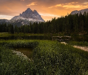 Włochy, Mostek, Drewniany, Prowincja Belluno, Góry Dolomity, Antorno Lake, Masyw Tre Cime di Lavaredo, Drzewa, Jezioro, Trawa