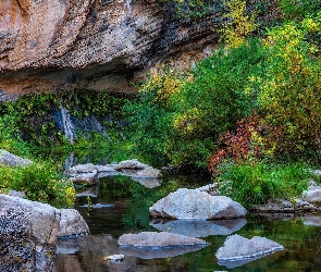 Drzewa, Kamienie, West Fork Oak Creek, Skały, Arizona, Rzeka, Stany Zjednoczone, Sedona