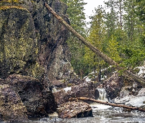 Michigan, Hrabstwo Marquette, Drzewa, Stany Zjednoczone, Dead River, Skały, Rzeka