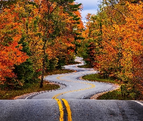 Wisconsin, Hrabstwo Door, Drzewa, Stany Zjednoczone, Kręta, Jesień, Droga