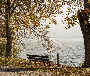 Kastoria, Jezioro Kastoria, Drzewa, Grecja, Mgła, Jesień, Ławka