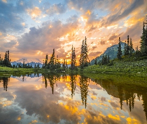 Stan Waszyngton, Drzewa, Góry, Stany Zjednoczone, Tipsoo Lake, Park Narodowy Mount Rainier, Jezioro