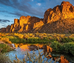 Arizona, Salt River, Skały, Stany Zjednoczone, Rzeka, Góry, Rośliny