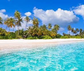 Plaża, Malediwy, Chmury, Palmy, Morze