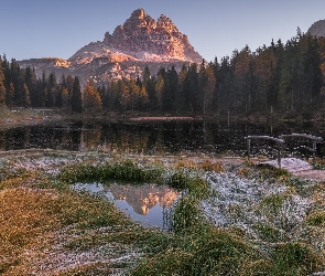 Jezioro, Mostek, Włochy, Drzewa, Trawy, Prowincja Belluno, Antorno Lake, Góry Dolomity, Masyw Tre Cime di Lavaredo