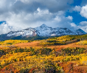 Pożółkłe, Drzewa, Jesień, Wzgórze, Chmury, Stany Zjednoczone, Góry, Kolorado, Lasy, Góra, Wilson Peak