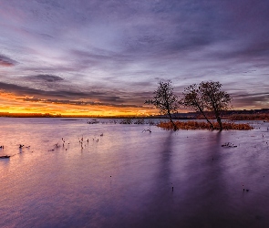 Kolorado, Chatfield Lake, Stany Zjednoczone, Jezioro, Chmury, Chatfield State Park, Wschód słońca, Drzewa