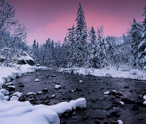 Tatry, Drzewa, Polska, Rzeka, Chata, Zima, Dolina Kościeliska, Ośnieżone