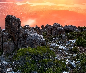 Australia, Stan Tasmania, Krzewy, Skały, Szczyt, Mount Wellington