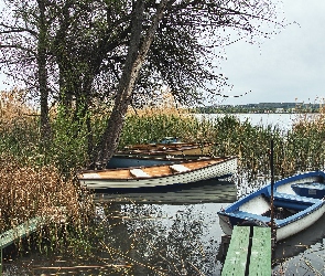 Szuwary, Pomost, Jezioro, Drzewa, Łódki