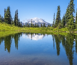 Stan Waszyngton, Drzewa Park Narodowy Mount Rainier, Tipsoo Lake, Stany Zjednoczone, Odbicie, Jezioro, Góry