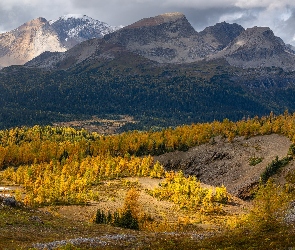 Kanada, Park prowincjonalny Mount Assiniboine, Chmury, Kolumbia Brytyjska, Nub Peak, Góra, Las, Drzewa, Góry, Jesień