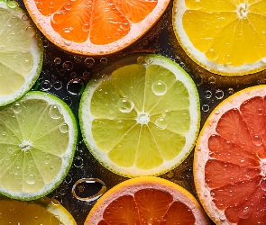 Plastry, Owoce, Cytryna, Limonka, Grejpfrut, Cytrusy