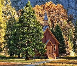 Kościółek, Kaplica, Kalifornia, Stany Zjednoczone, Park Narodowy Yosemite, Drzewa