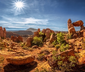 Krzewy, Promienie słońca, Teksas, Stany Zjednoczone, Park Narodowy Big Bend, Skały