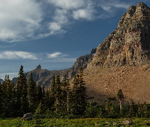 Skały, Trawa, Góry, Świerki, Montana, Drzewa, Stany Zjednoczone, Park Narodowy Glacier