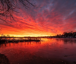 Pomost, Wschód słońca, Szuwary, Drzewa, Jezioro