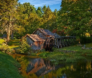 Wirginia, Trawa, Mabry Mill, Stany Zjednoczone, Drzewa, Młyn wodny, Rzeka