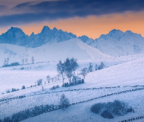 Zima, Drzewa, Pola, Kaplica Matki Bożej Śnieżnej, Kacwin, Gmina Łapsze Niżne, Ośnieżone, Góry, Polska, Tatry