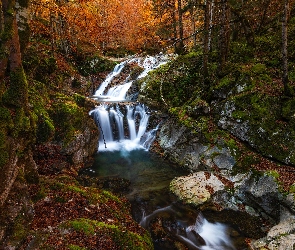 Las, Kamienie, Francja, Skały, Dolina, Rzeka Gave de Bious, Valle de Ossau, Jesień