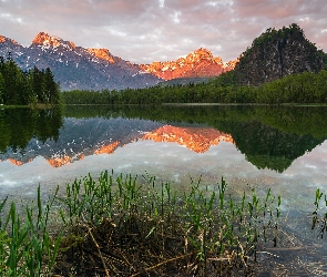 Chmury, Drzewa, Jezioro Almsee, Austria, Las, Góry, Odbicie