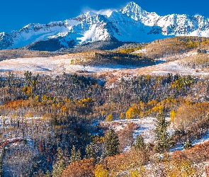 Drzewa, Lasy, Ośnieżone, Wilson Peak, Telluride, Stany Zjednoczone, Góry, Kolorado, Pożółkłe, San Juan Mountains, Góra