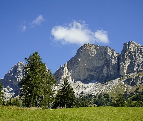 Łąka, Drzewa, Roda di Vael, Włochy, Dolomity, Szczyt, Góry