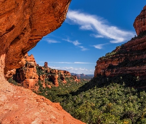 Stany Zjednoczone, Arizona, Skały, Czerwone, Drzewa, Sedona