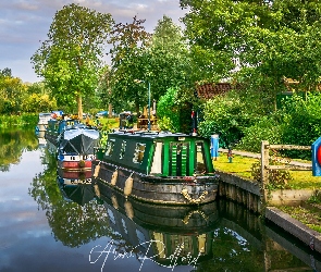 Chelmer River, Drzewa, Rzeka, Statki, Maldon Essex, Motorówki, Anglia, Lato