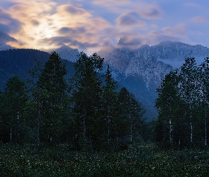 Drzewa, Karwendel, Pasmo górskie, Rośliny, Góry